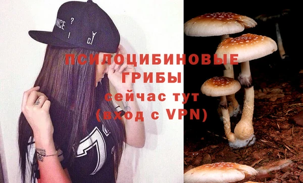 соль ск Беломорск