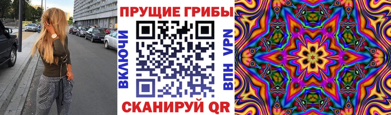 Псилоцибиновые грибы GOLDEN TEACHER  Усть-Катав 